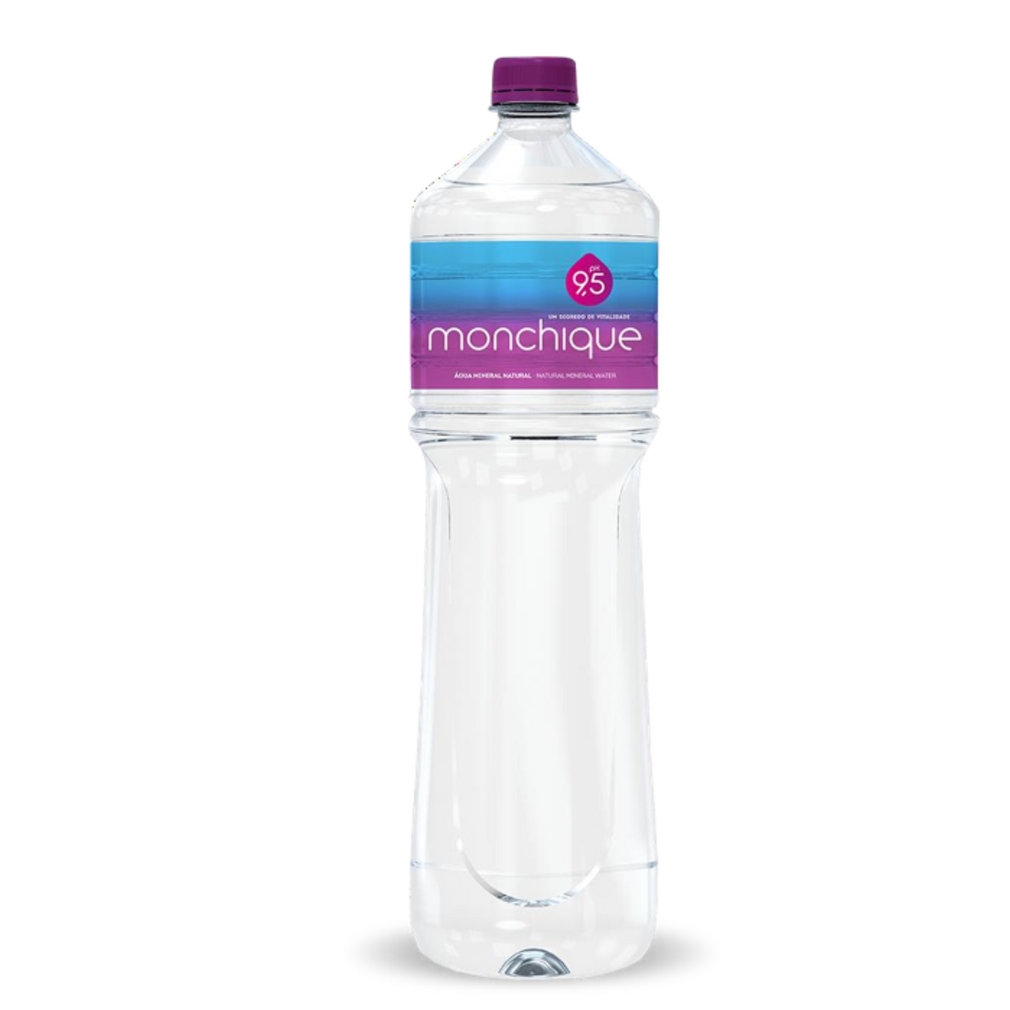 Monchique 9.5 PH Water 1.5l